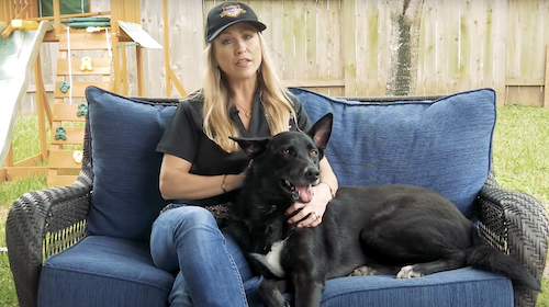 Can I use deadly force to protect my pet?