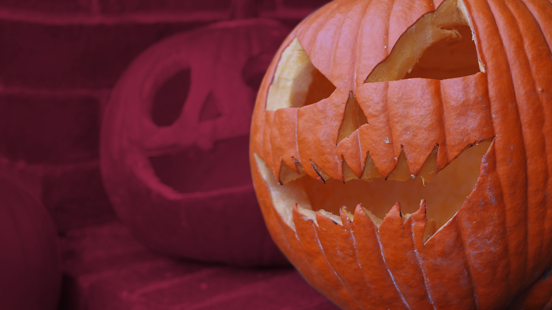 Virginia Night Terrors: Defending Against Criminal Mischief 14