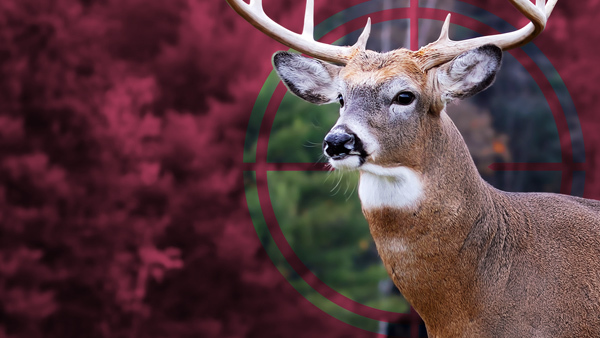 Hunting-600×338 Hunting