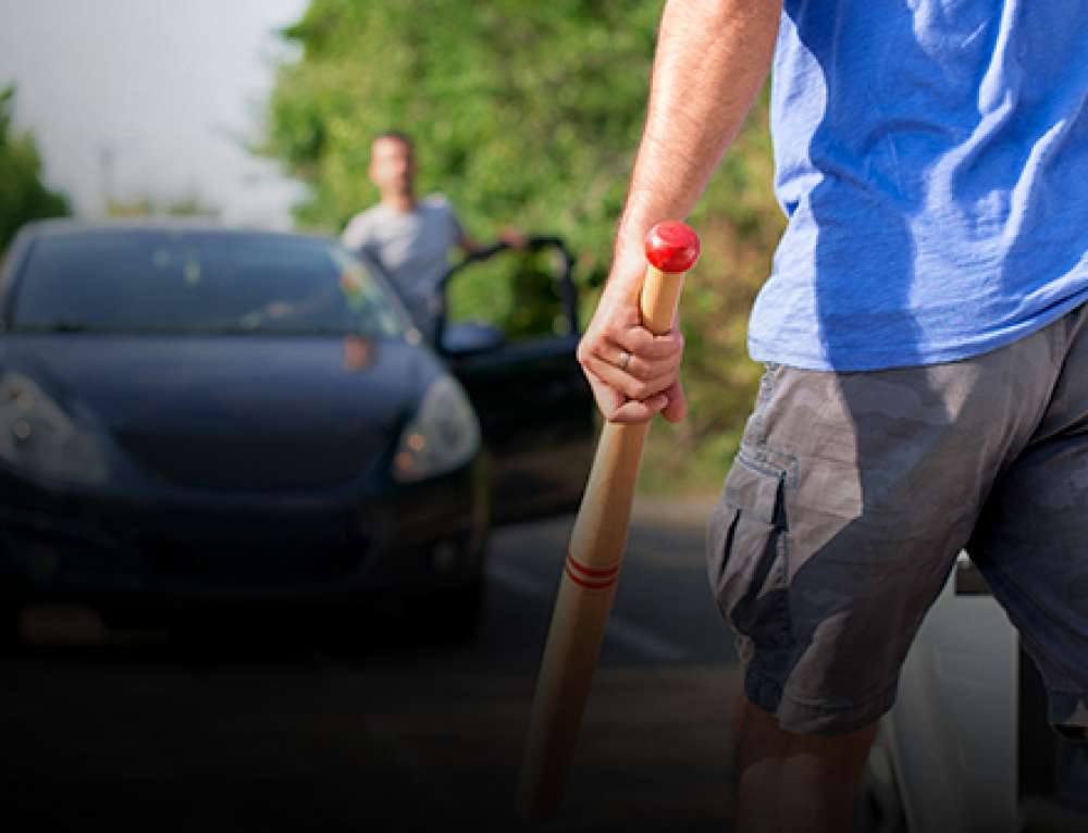 Know the Law NonLethal SelfDefense Florida U.S. & Texas LawShield