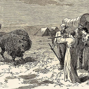 Woman Aims Rifle At Buffalo 300x300 1