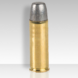 .45 bullet